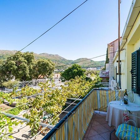 Apartments Lidija ザトン エクステリア 写真